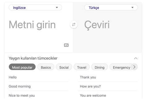 Translate türkçe ingilizce